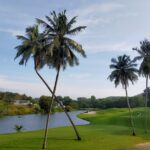 Capacity Field Set for Exciting Fourth Leg at A’Famosa