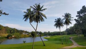 Capacity Field Set for Exciting Fourth Leg at A’Famosa